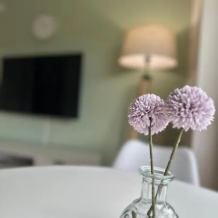 Apartament Executive Stadtwald - S-bahn Direct - 12min Messe - Barrier-free *